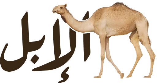 Camel Logo